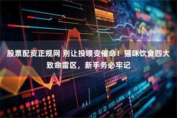 股票配资正规网 别让投喂变催命!猫咪饮食四大致命雷区,新手务必牢记